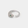 Anillo Roarica