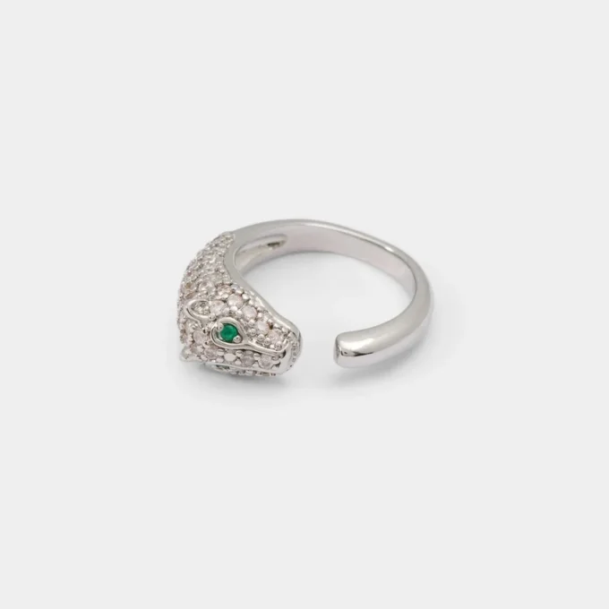 Anillo Roarica